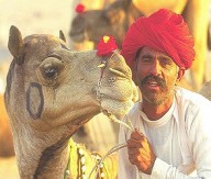 Rajasthan Tour