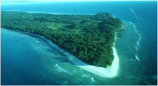 Highlights of Andaman Island